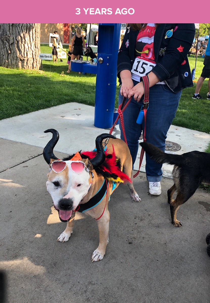 fandomthingpod's tweet photo. My late dog, Schroeder, and I three years ago at a pet parade for the shelter I adopted him from. Can you guess what we were dressed as? Also adding a pic featuring Fergie in a bandanna. #PodcastDogs https://t.co/tgvJUHRjZO