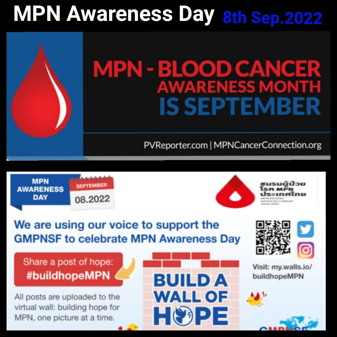 pasusant63's tweet photo. Today,8th Sept.2022 : MPN Awareness Day, MPN Patient Advocacy Group Thailand is supporting MPN Advocates Network and our great alliances to promote and raise awareness about MPNs rare blood cancer.#MPN #buildhopeMPN https://t.co/VLMWhCdyRX