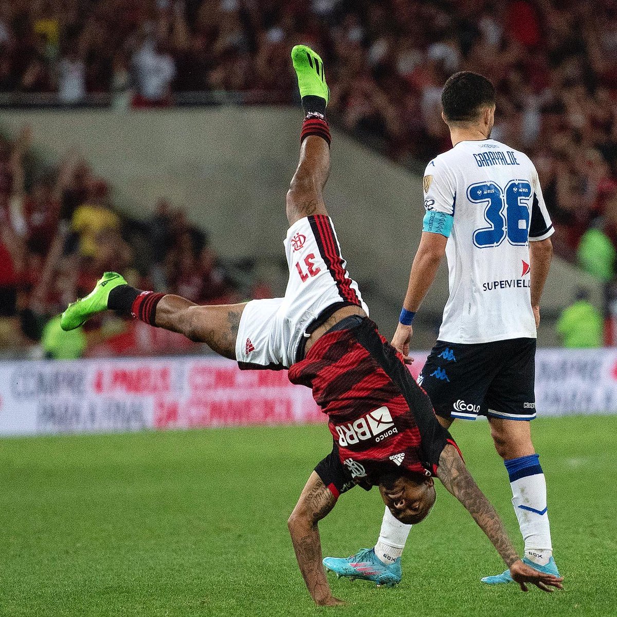 delmirojunior's tweet photo. Sequência da comemoração do Marinho.
@brendon_fls classificado para final da @LibertadoresBR
Fla 2x1 Vélez no @maracana
📷 @delmirojunior
#flamengos #photopremium #arfocrj #imprensa #press #photo #libertadores #maracanã #marinho #velez #semifinal #flaxvel #velezsarsfield https://t.co/dPGGortIhN