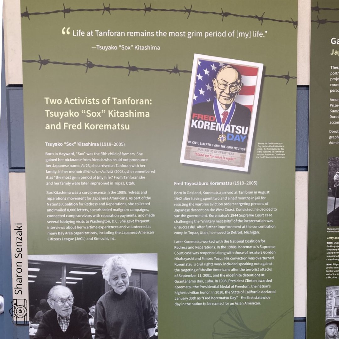 korematsu tweet picture