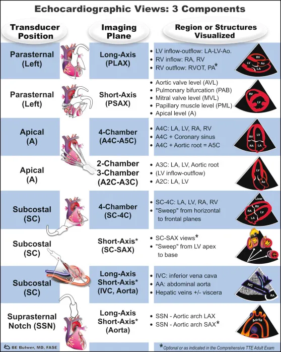 NephroPOCUS tweet media