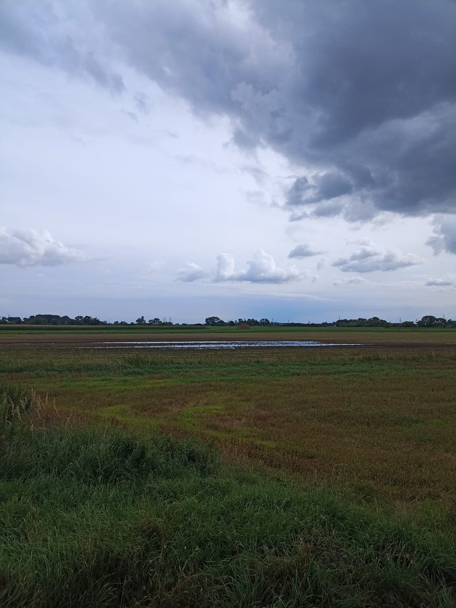 Ostrzeżenia meteorologiczne #IMGW:
Burze z gradem
Przebieg: Prognozowane są burze, którym miejscami będą towarzyszyć silne opady deszczu od 20 mm do 35 mm oraz porywy wiatru do 80 km/h. Miejscami grad.