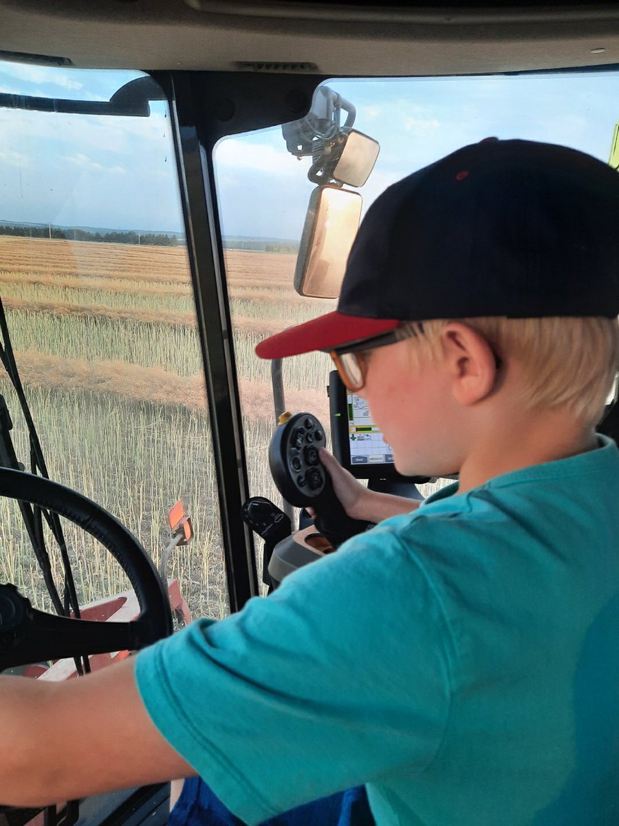 Someone managed to sweet talk Dad not only into a longer combine ride, but also into piloting the combine &amp; unloading on the go. 

There's a lot more canola swath/yield for him to work with this year 😁

#proudparents #driverseat #growingconfidence