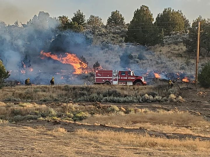 ActionNewsNow's tweet photo. FIREWATCH: In Siskiyou County, the Coyote Fire has now burned 200 acres and evacuation warnings have been issued by the Siskiyou County Sheriff's Office. Details in the app. #SiskiyouCo #Macdoel #CoyoteFire #CAfire https://t.co/lfjy8cOLj8 https://t.co/zcObE4XwhM