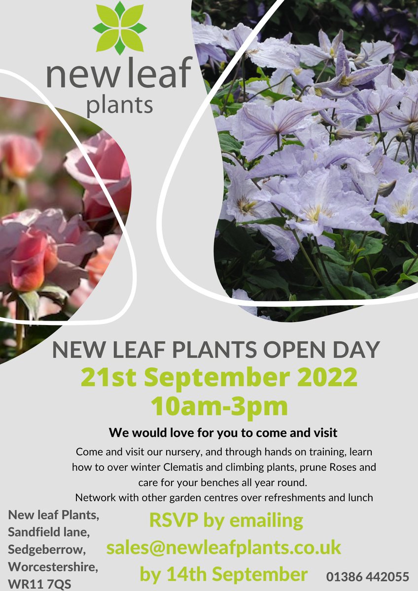 New Leaf Plants (@newleafplants) on Twitter photo 