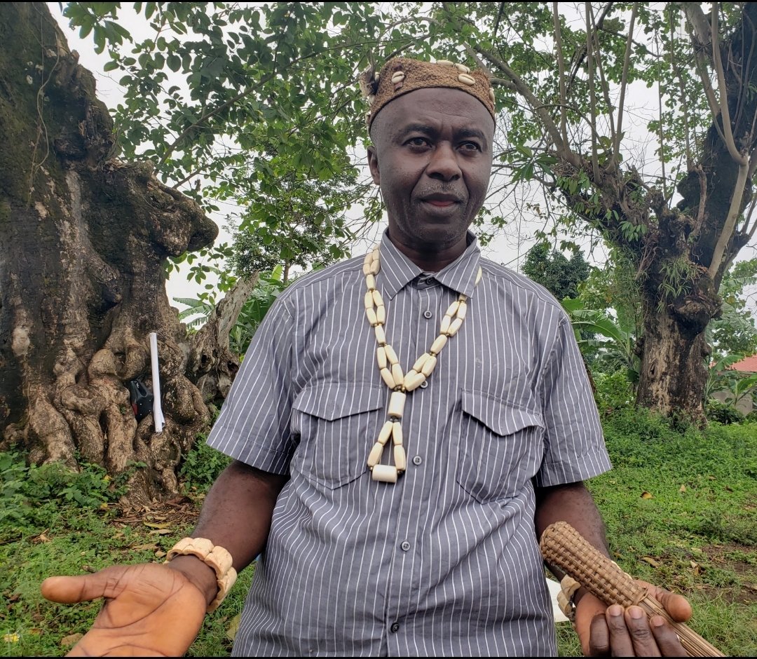 African Traditional Knowledge, Neglected Species Conservation Asset.

Read More 👇🏽👇🏽
voiceofnaturenews.info/african-tradit…
#VoNNews #ConservationEducation, #Environment, #BeliefSystems, #Bonakanda, #MountCameroon, #TraditionalKnowledge