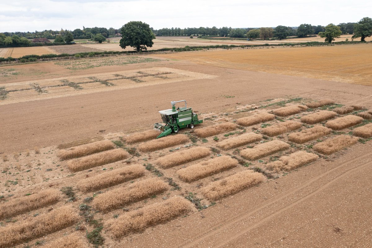 Rothamsted Research tweet media