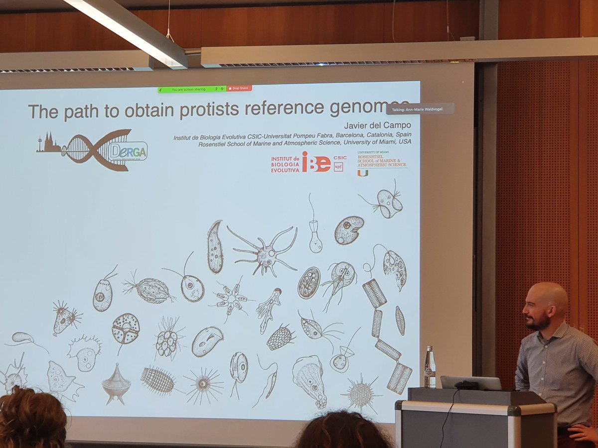 DeRGA (@dergabiodiv) on Twitter photo Very excited to hear about protists reference genomes!! <a href="/fonamental/">Javier del Campo</a> <a href="/IBE_Barcelona/">Institute of Evolutionary Biology (IBE)</a> #dergaverse Very excited to hear about protists reference genomes!! <a href="/fonamental/">Javier del Campo</a> <a href="/IBE_Barcelona/">Institute of Evolutionary Biology (IBE)</a> #dergaverse