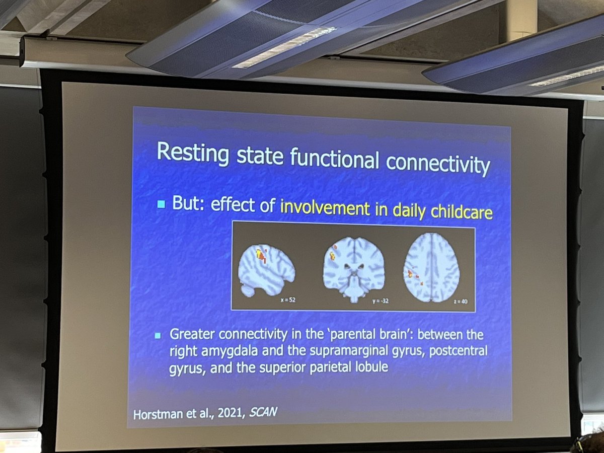 SaraBCam's tweet photo. Marian Bakermans-Kranenburg “It doesn’t matter who you are, it matters what you do.” (Whether mom/ dad/ other, more time in primary childcare role associated with changes in brain) @PEDALCam #playconference https://t.co/6XhRPP8Eaa