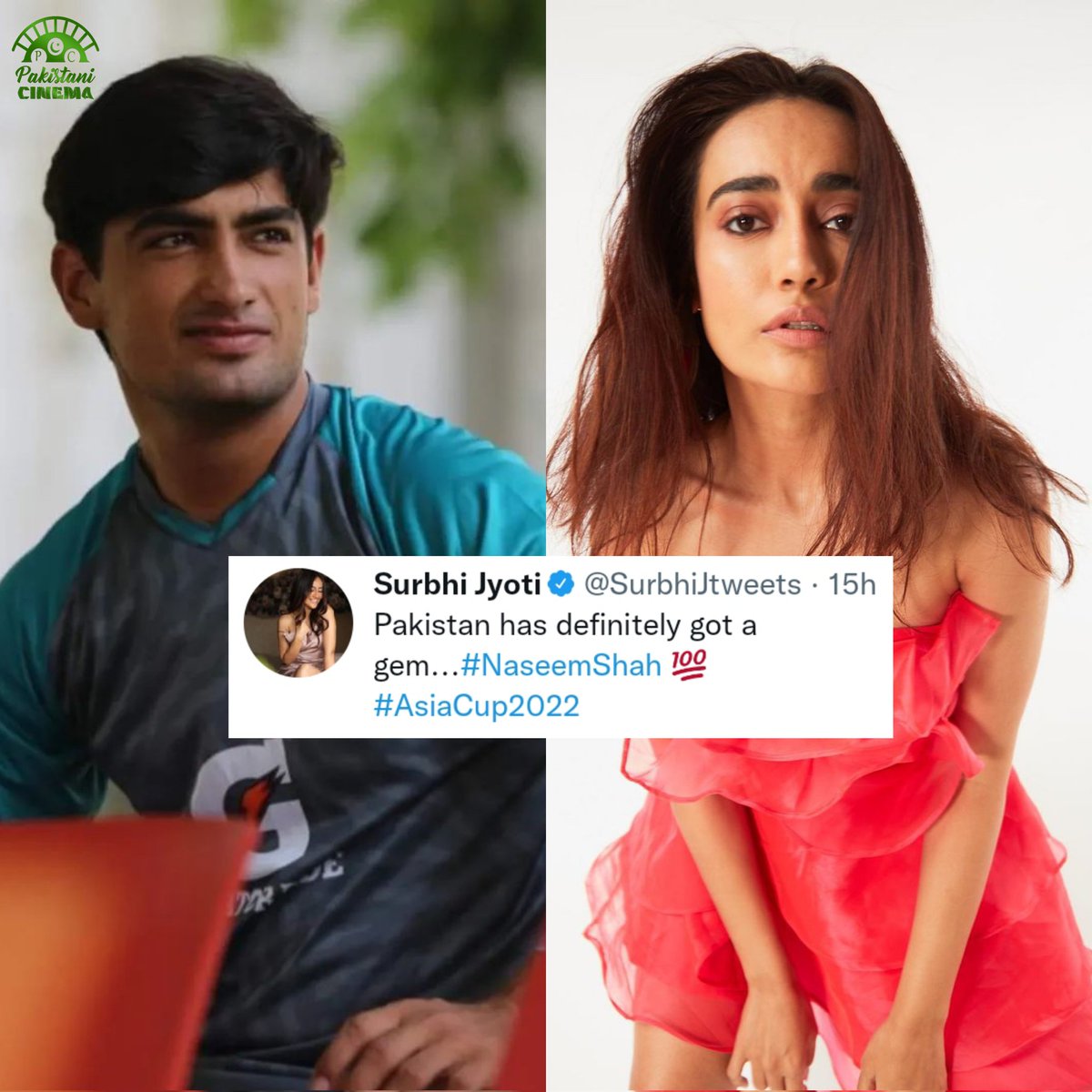 Pakistani Cinema on Twitter: "Naseem Shah just found another admirer in  India, and this time it's actress Surbhi Jyoti 👏 #SurbhiJyoti #NaseemShah  https://t.co/vgaOS61XAR" / Twitter