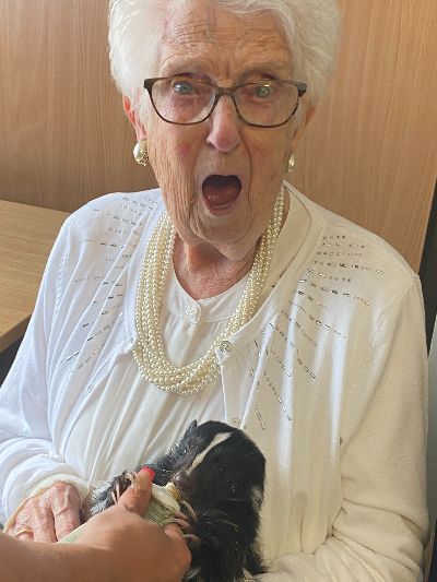 Inspire2Support's tweet photo. The day the Zoo came to visit - During July, Leanimals Mobile Zoo came to visit our Day Centres. They brought with them a range of interesting animals from owls to guinea pigs and even a skunk! Click to see all the photos..https://t.co/sHMazSzoiu https://t.co/KG7oJMbu01