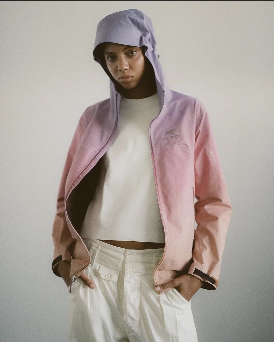 StreetFashion01's tweet photo. Lorenzo Federici x Arc’teryx (2022) https://t.co/osxaV0fZBe