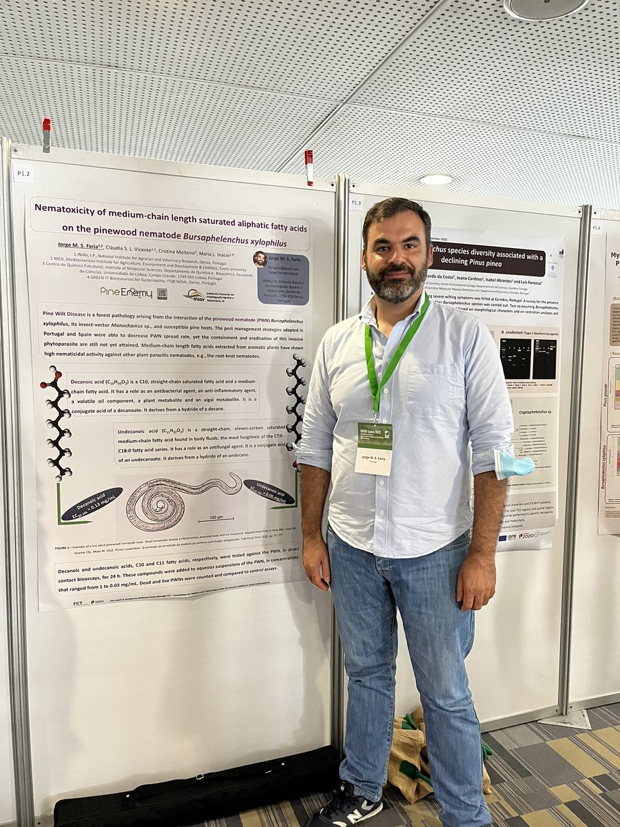 EnemyPine's tweet photo. Poster Session @IUFROdivision7 https://t.co/D0apUck24k