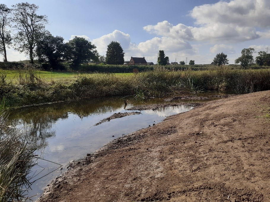 Trent Rivers Trust tweet media