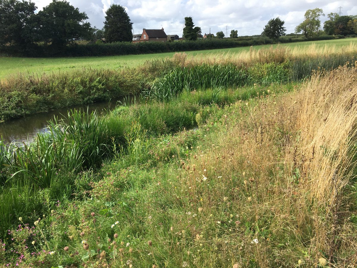 Trent Rivers Trust tweet media