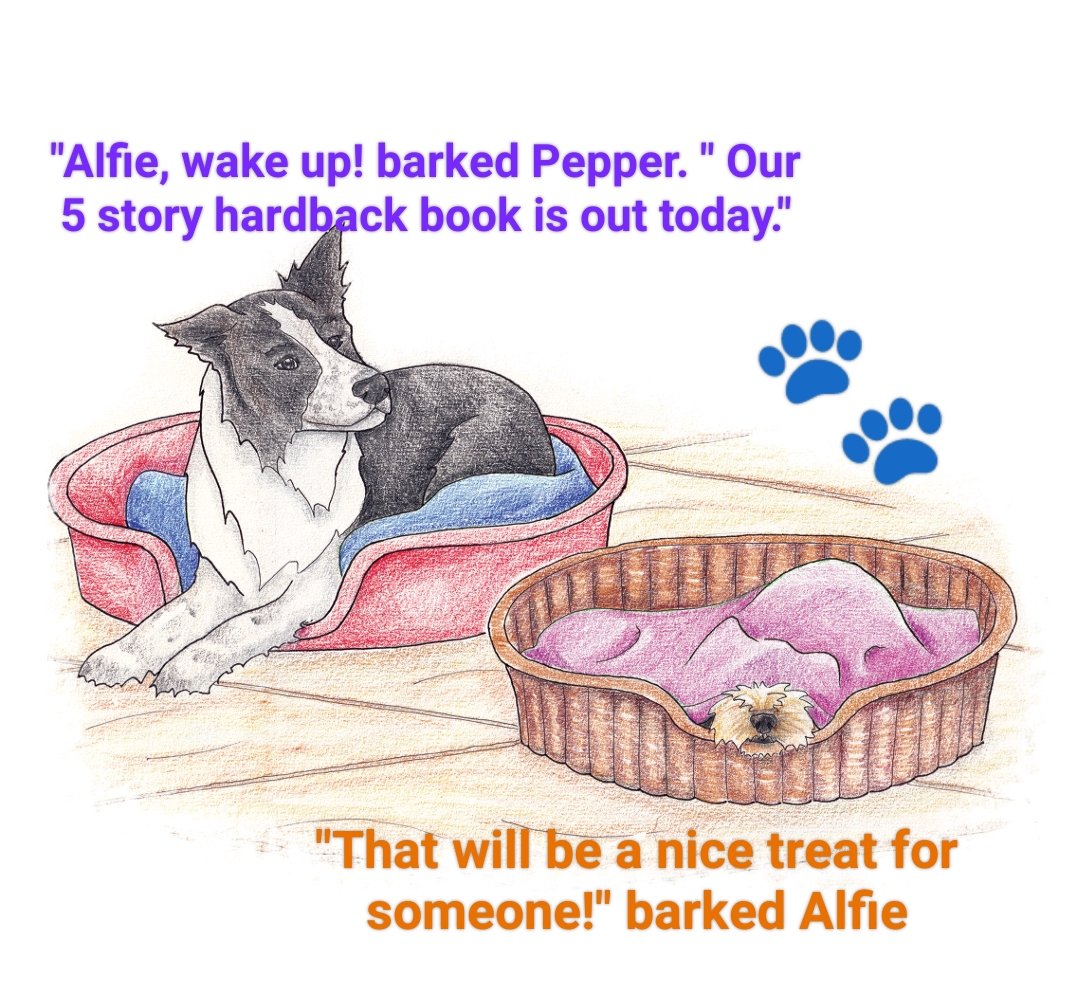 SianLewin1's tweet photo. Out on Amazon today 🐾🎉 
https://t.co/6J19MKmjAB
The Adventures of Alfie and Pepper Five Story Collection 🧐
#book #dogs #calmingstories #readingcommunity #readinginschool #kidsreading #books #bordercollie 
FREE Videos on website too 🎧🐾
https://t.co/BntkTuXr0X https://t.co/HJ0cXqaSii