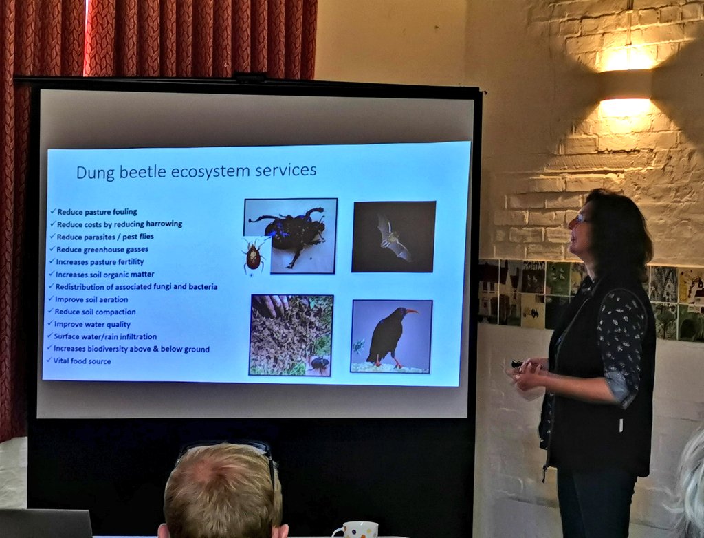Martin Down Farmer Supercluster tweet media