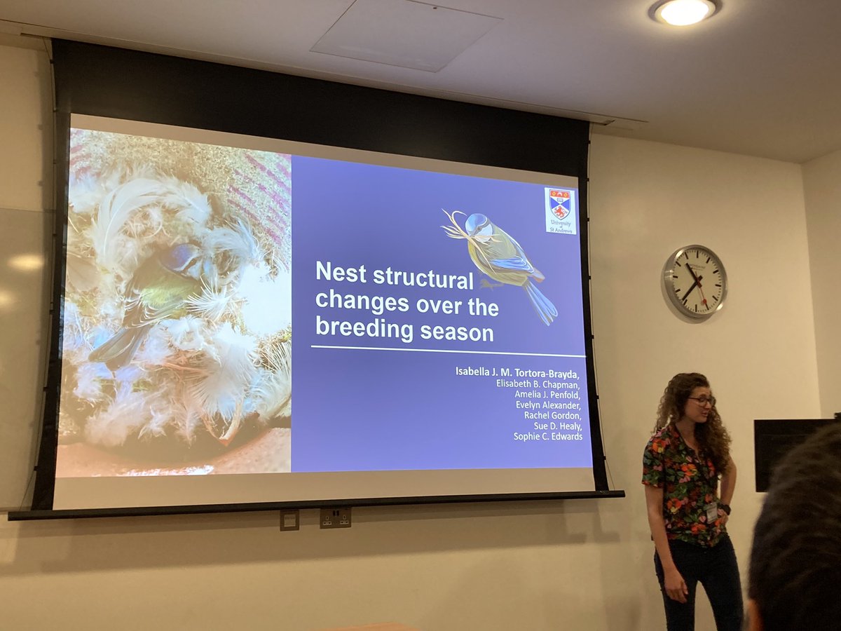 <a href="/bella_belvedere/">Isabella Tortora-Brayda</a> talks about how nest structure changes over the breeding season #hnb2022