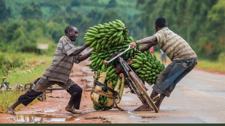 ModernAgUpdates's tweet photo. If you eat today, remember
 to thank a farmer.
Thank you farmers❤️
Let's show some love to them. https://t.co/d3EK51aDN0