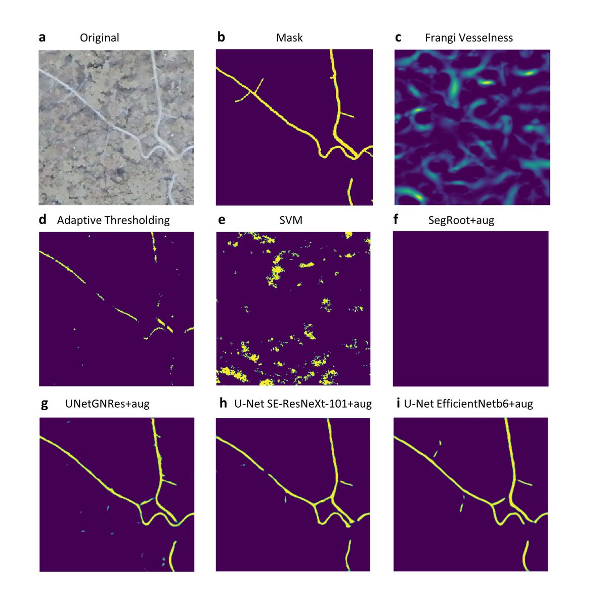 Boris Rewald 🇮🇱 (@borisrewald) on Twitter photo Submitted 🥳 Pavel Baykalov et al. on "Semantic segmentation of plant #Roots from RGB (mini-)rhizotron images" -- methods compared, false positive rates determined & superiority of U-Net models + augmentation demonstrated :) <a href="/FutureArcticITN/">FutureArctic-ITN</a> <a href="/ATTRACTEU/">ATTRACT EU</a> <a href="/BOKUvienna/">BOKU University</a> <a href="/VSI_Austria/">Vienna Scientific Instruments</a> Submitted 🥳 Pavel Baykalov et al. on "Semantic segmentation of plant #Roots from RGB (mini-)rhizotron images" -- methods compared, false positive rates determined & superiority of U-Net models + augmentation demonstrated :) <a href="/FutureArcticITN/">FutureArctic-ITN</a> <a href="/ATTRACTEU/">ATTRACT EU</a> <a href="/BOKUvienna/">BOKU University</a> <a href="/VSI_Austria/">Vienna Scientific Instruments</a>