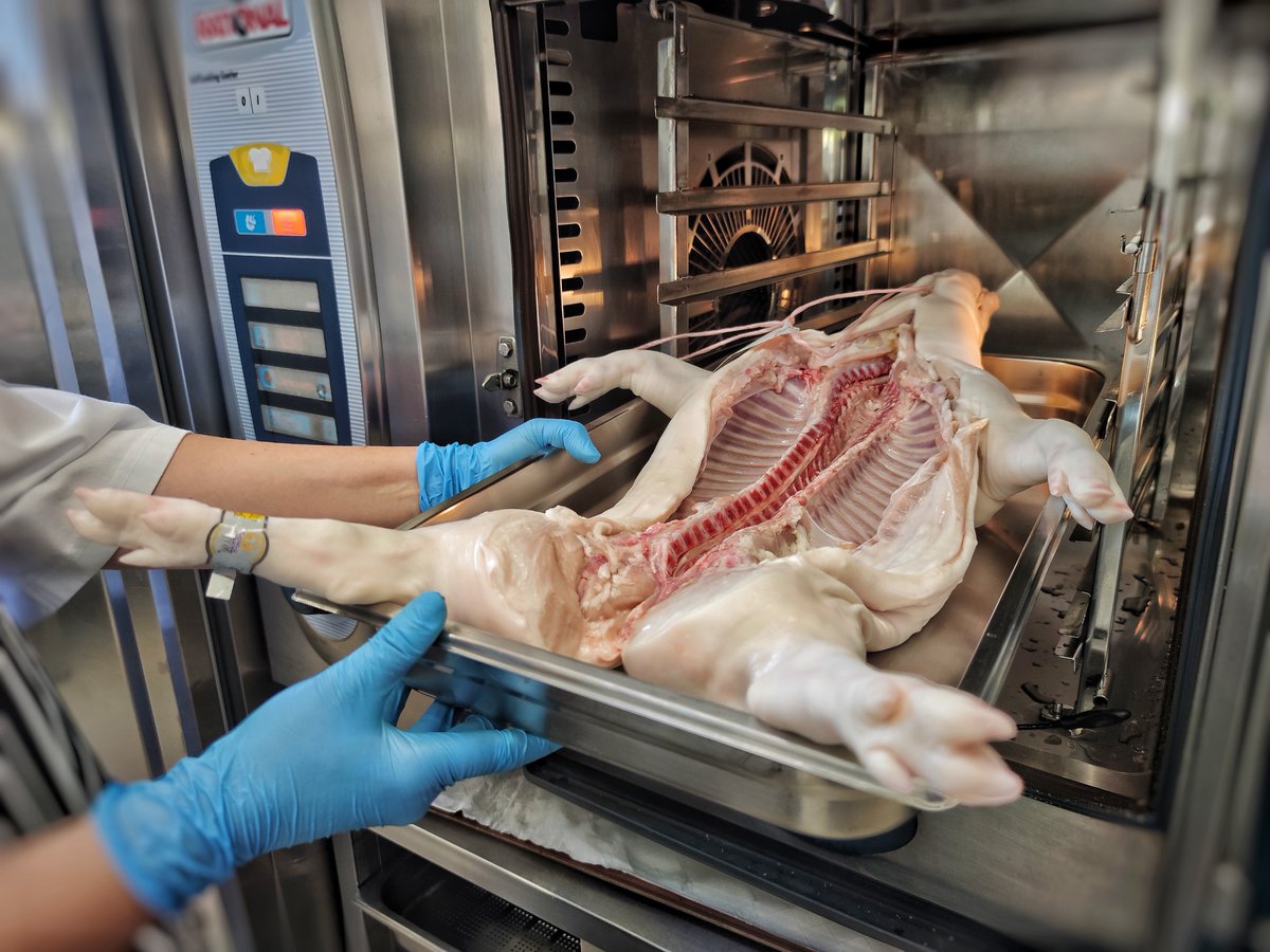 Diputación de Segovia tweet media