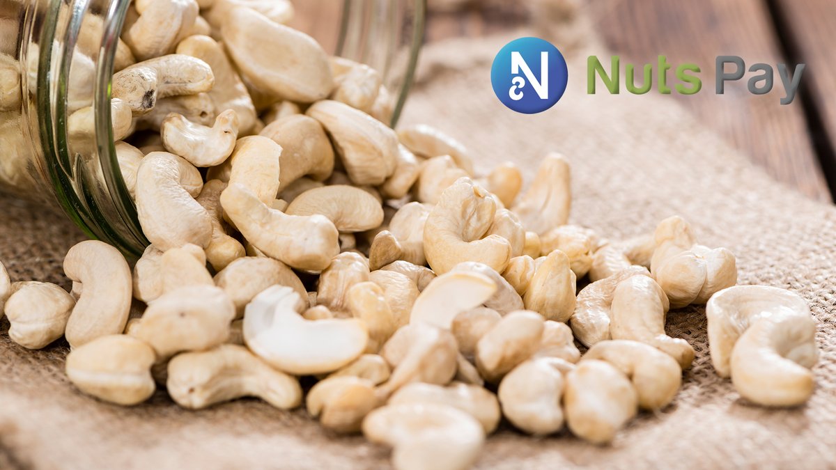 NutsPay tweet media
