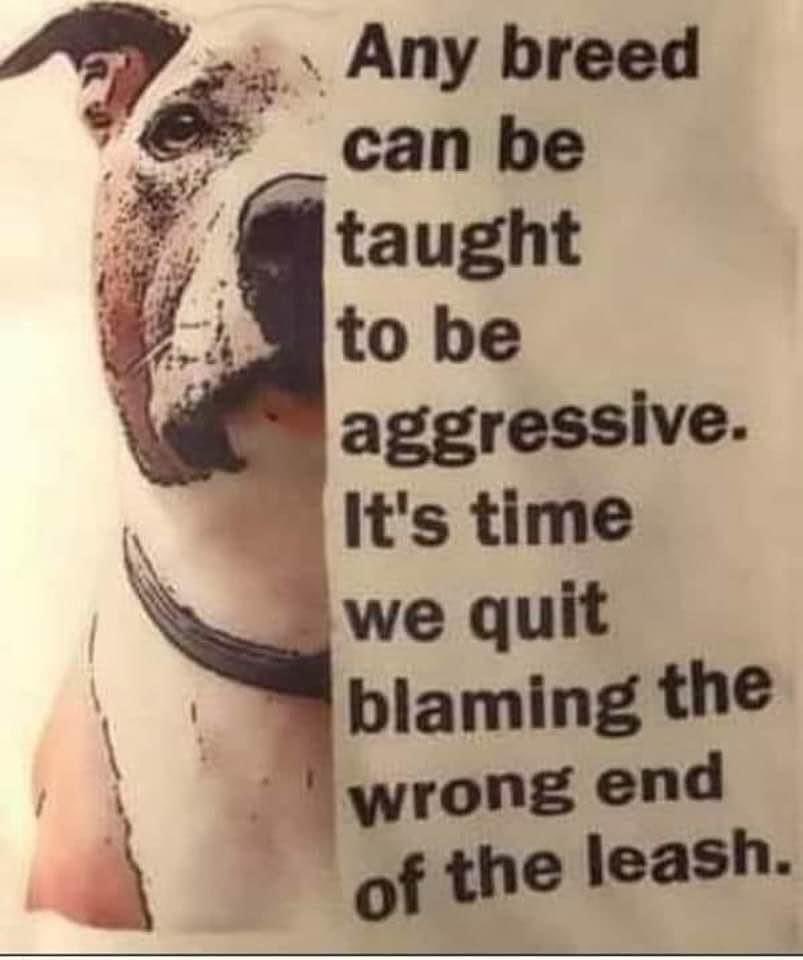 Mom borrowed dis. Iz so true!