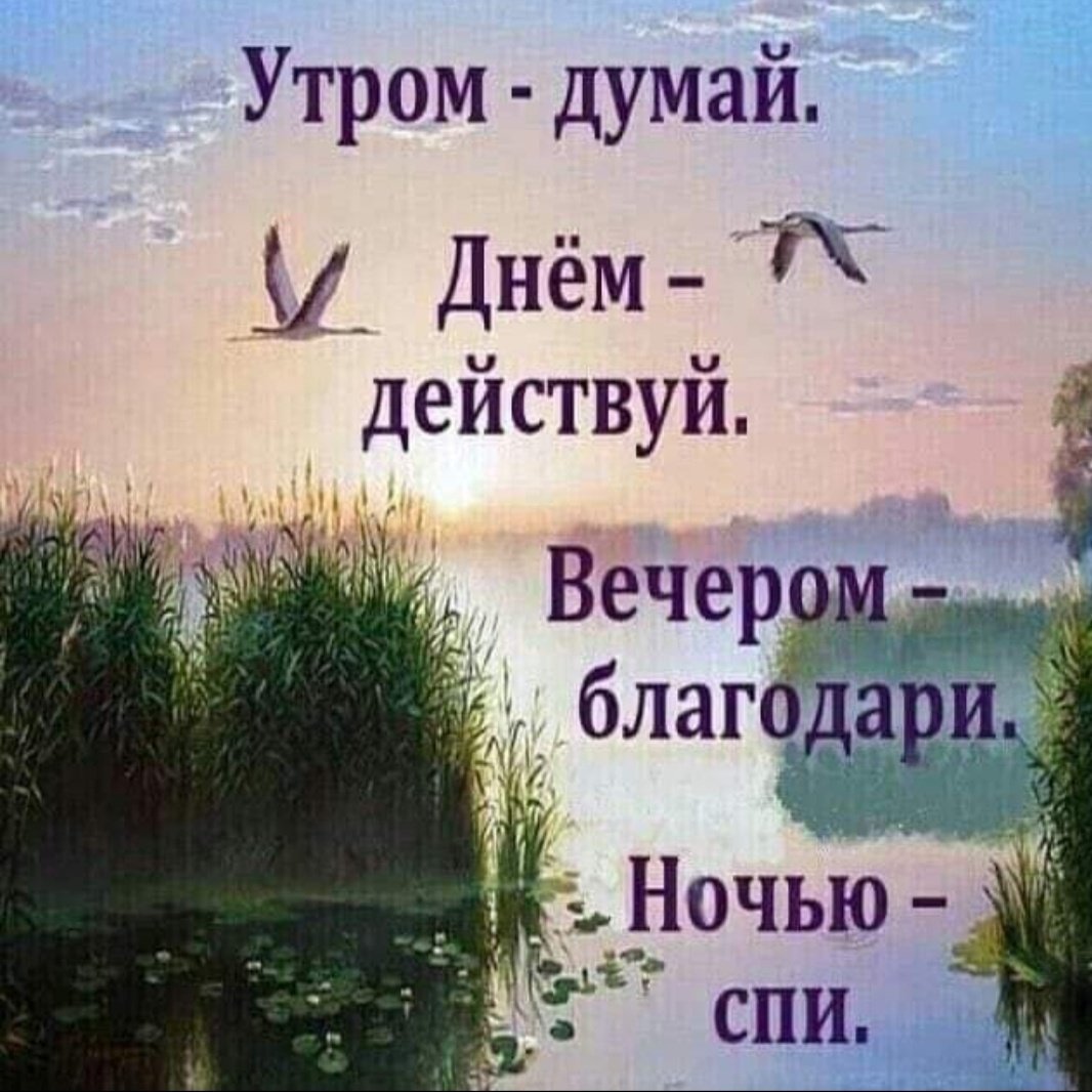 Утром думай днем действуй