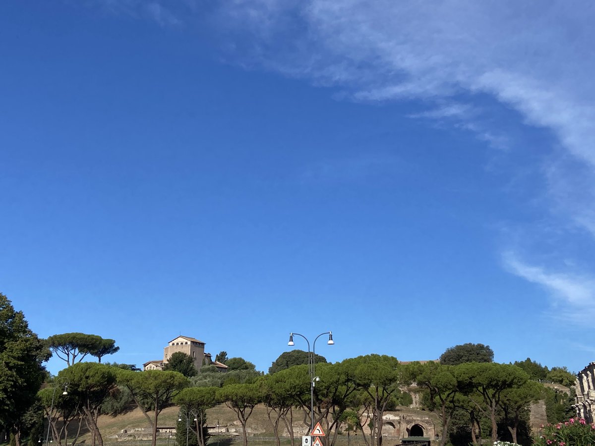 Cieli azzurri sul Palatino