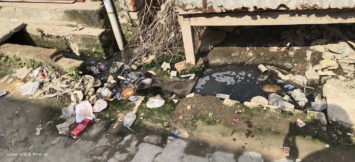 LalaPatrakar's tweet photo. यह है स्वच्छ भारत मिशन की सचाई।जनपद हरदोई के विकास खण्ड बावन की बदकिस्मती ग्राम पंचायत जगदीशपुर जहां सफाई कर्मी केशन पाल रहता है नदारद। बजबजाती नालियों से पनप रही बीमारी।आखिर सफाई कर्मियों पर किसकी महारबानी। @DproHardoi @dmhardoi @CdoHardoi @myogioffice @myogiadityanath https://t.co/8KEL497WQb