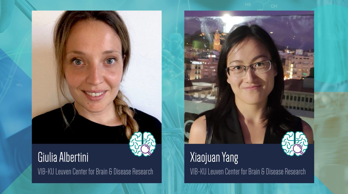 VIBLifeSciences's tweet photo. 👏 Congrats to Giulia Albertini (@DeStrooperLab) and Xiaojuang Yang (Annaert Lab) for receiving the Alzheimer’s Association Research Fellowship award! @CBD_VIB, @KU_Leuven, @alzassociation 
👉 https://t.co/7PMvSc7IlD
#ENDALZ #VIBNeuroscience https://t.co/r3GyfZRfA7