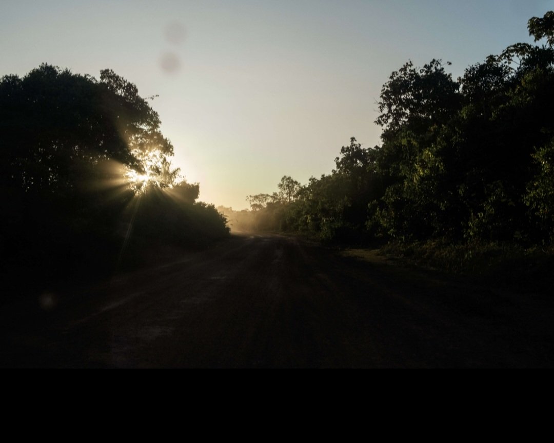 SbastienLebret8's tweet photo. #TommasoProtti photo d'une route de #Jacareacanga  #Brésil où "la fièvre de l'or empoisonne les rivières".
#BrunoMeyerfeld texte
en reportage pour #LeMonde 
"Au cœur de l'#Amazonie" 
#Biodiversité #Mercure
à suivre
@brunomeyerfeld @tomprotti https://t.co/fyZ6UP6HkA