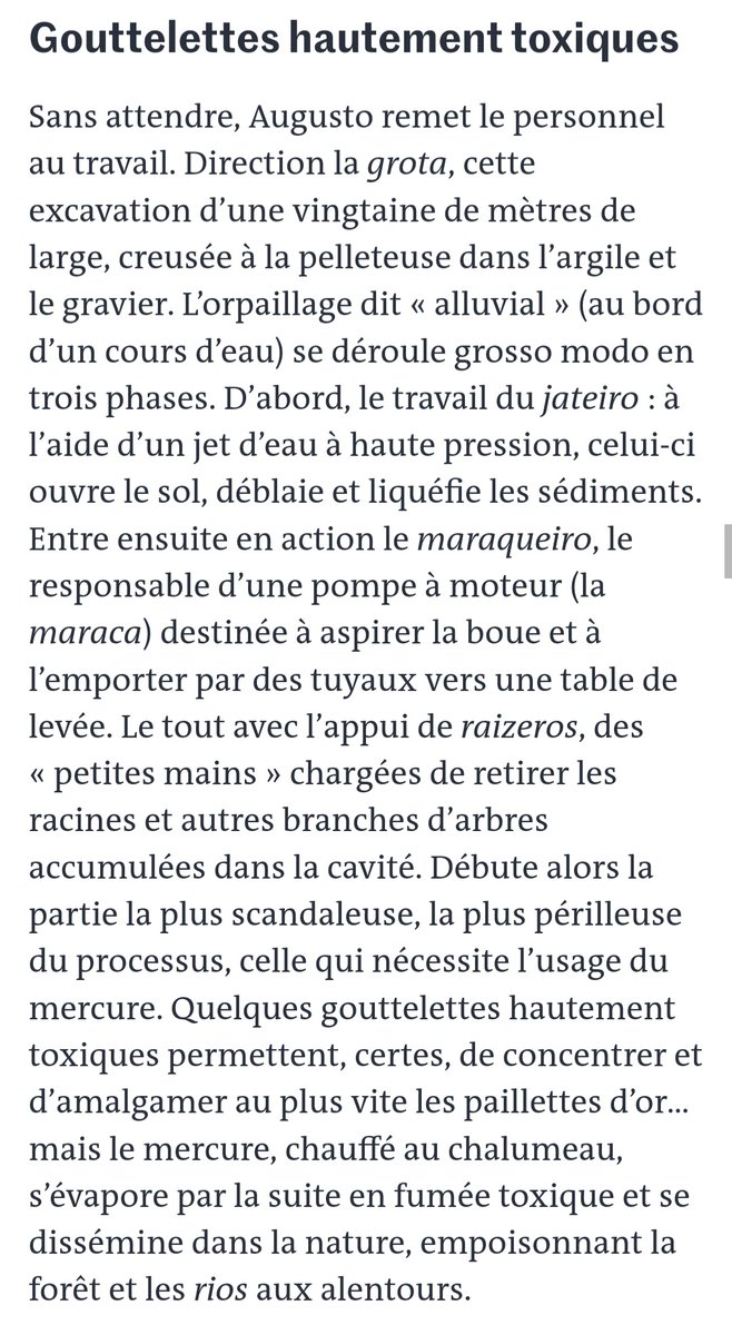 SbastienLebret8's tweet photo. #TommasoProtti photo d'une route de #Jacareacanga  #Brésil où "la fièvre de l'or empoisonne les rivières".
#BrunoMeyerfeld texte
en reportage pour #LeMonde 
"Au cœur de l'#Amazonie" 
#Biodiversité #Mercure
à suivre
@brunomeyerfeld @tomprotti https://t.co/fyZ6UP6HkA