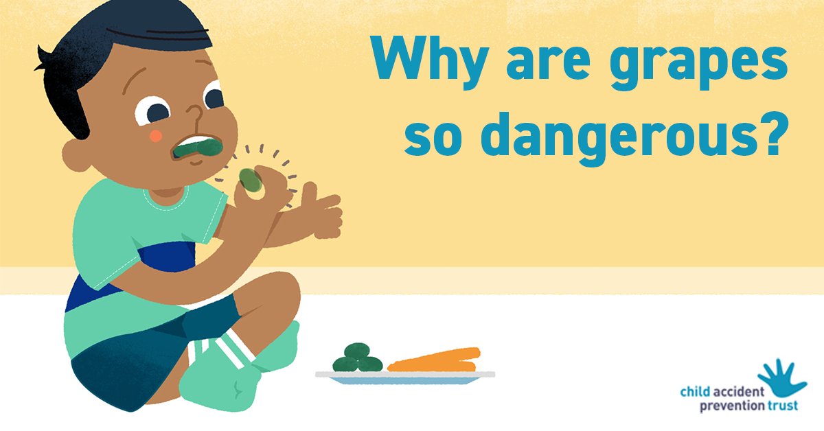 The size and shape of grapes means they can completely plug a child’s airway. And the tight seal produced by the grape’s smooth surface makes them difficult to dislodge with standard first aid techniques.

Learn more: capt.org.uk/why-are-grapes…

#ChildSafety #ChildHealth