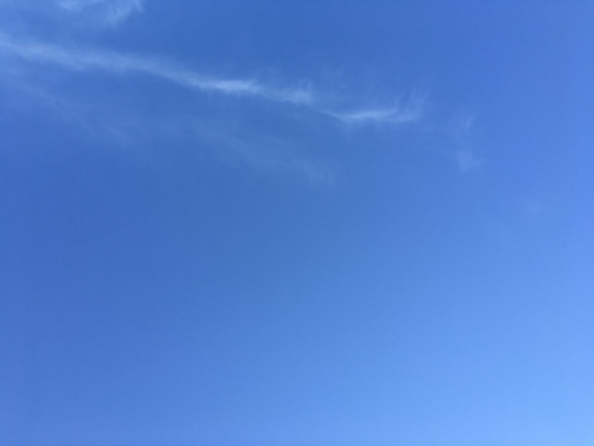 m19510804's tweet photo. 本日快晴。暑さももどってきた♪ #洗濯日和 https://t.co/fuarmtefY7