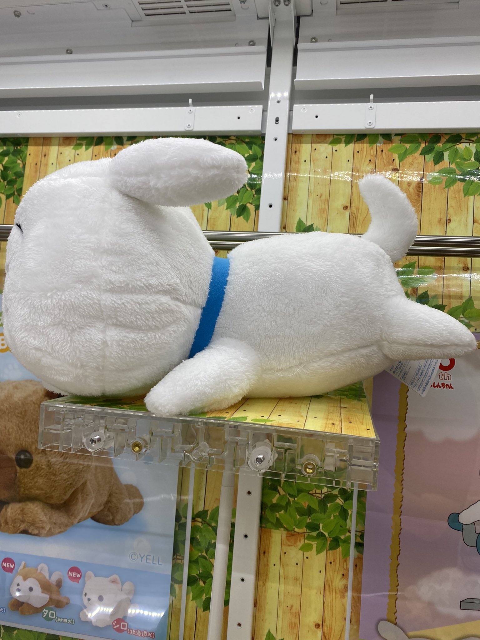 マンガ倉庫日向店アミューズ on X: 
