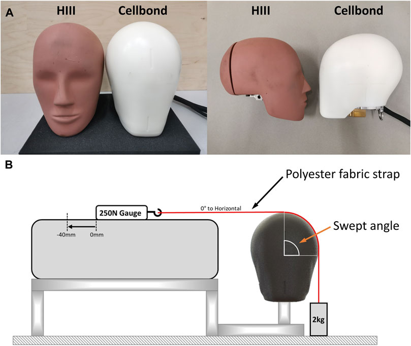 Mazdak Ghajari (@ghajarimazdak) on Twitter photo New paper in <a href="/FrontBioeng/">Frontiers - Bioengineering and Biotechnology</a>. The design and manufacture of more biofidelic headforms are underway, a great news for the #helmet industry. Here we have studied the performance of one of these headforms, manufactured by <a href="/Cellbond/">Cellbond</a>: frontiersin.org/articles/10.33…
<a href="/ChengCBISPhD/">Cheng</a> New paper in <a href="/FrontBioeng/">Frontiers - Bioengineering and Biotechnology</a>. The design and manufacture of more biofidelic headforms are underway, a great news for the #helmet industry. Here we have studied the performance of one of these headforms, manufactured by <a href="/Cellbond/">Cellbond</a>: frontiersin.org/articles/10.33…
<a href="/ChengCBISPhD/">Cheng</a>