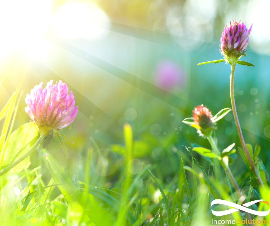 Spring Newsletter
Working out how much you need to save for retirement is a question that keeps many pre-retirees awake at night.  Learn more in our September Newsletter along with articles on the importance of 'Taking a break' and Taxation : incomesolutions.com.au/how-much-super…