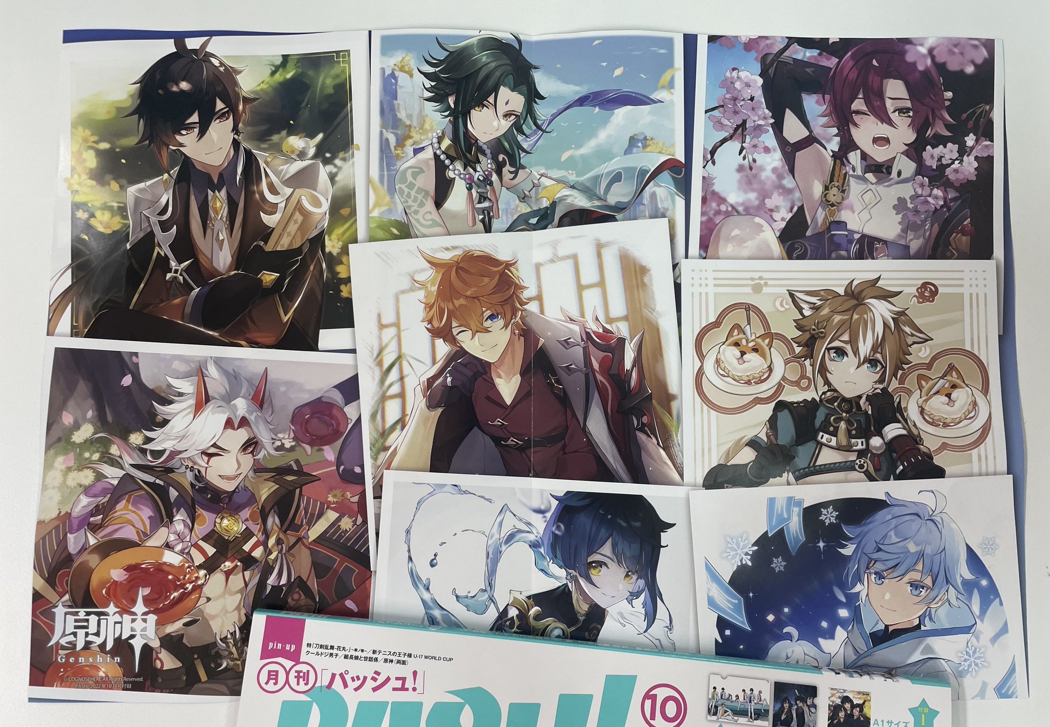 ヒメヒナ　原画 المميزة بواسطة 柳田椎渚❄ (@shiina_18410) / X