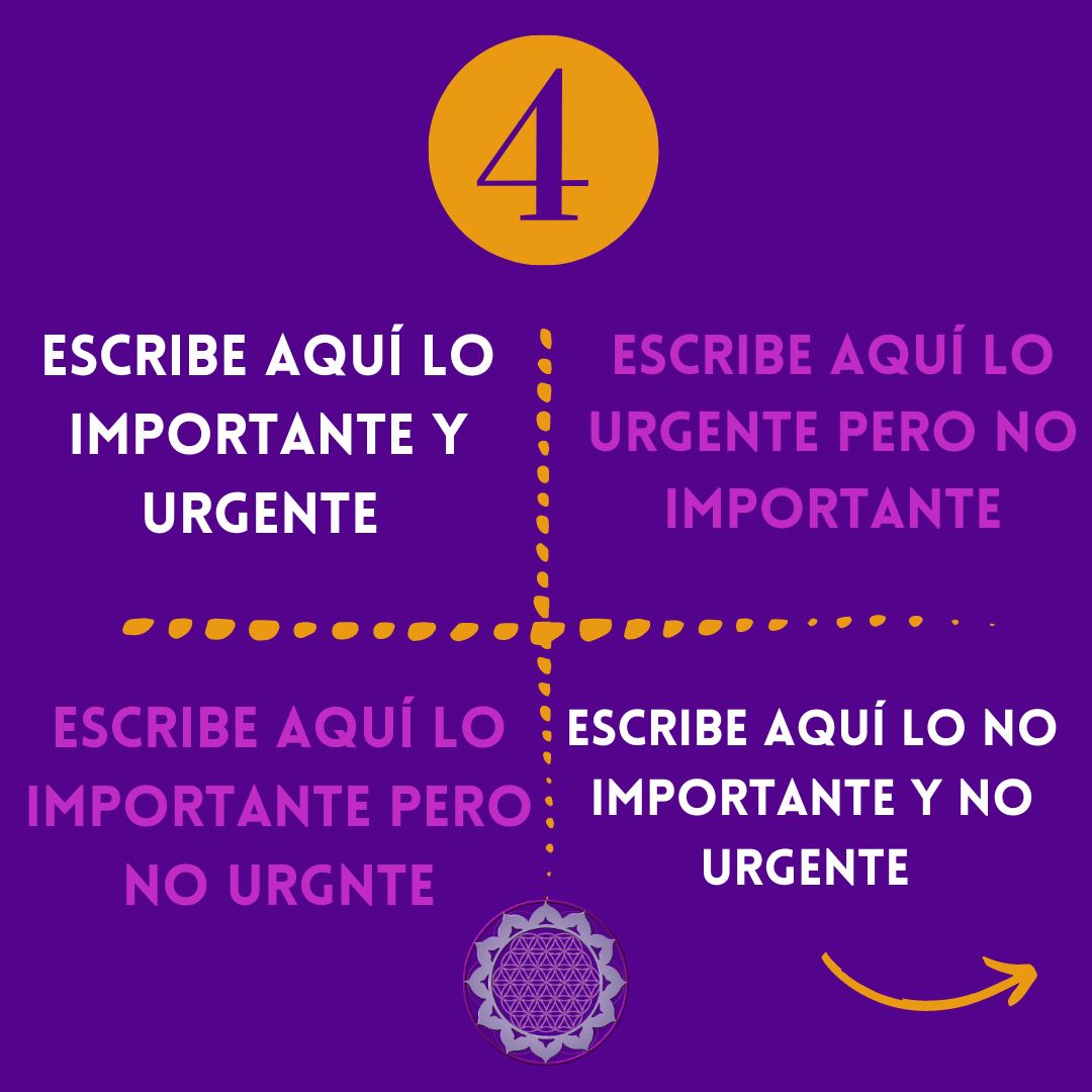AMTHBarcelona's tweet photo. https://t.co/8sWPA4lbHg