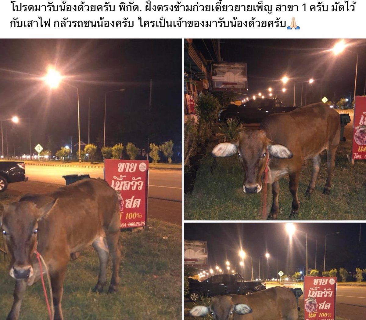 มันจะไม่มีอะไรเลยเว้ยถ้าร้านที่มันอยู่ตอนนี้ไม่ใช่ร้านขายเนื้อสด55555 แต่พรีเซนเตอร์คนนี้เขาสดจริงว่าไม่ได้