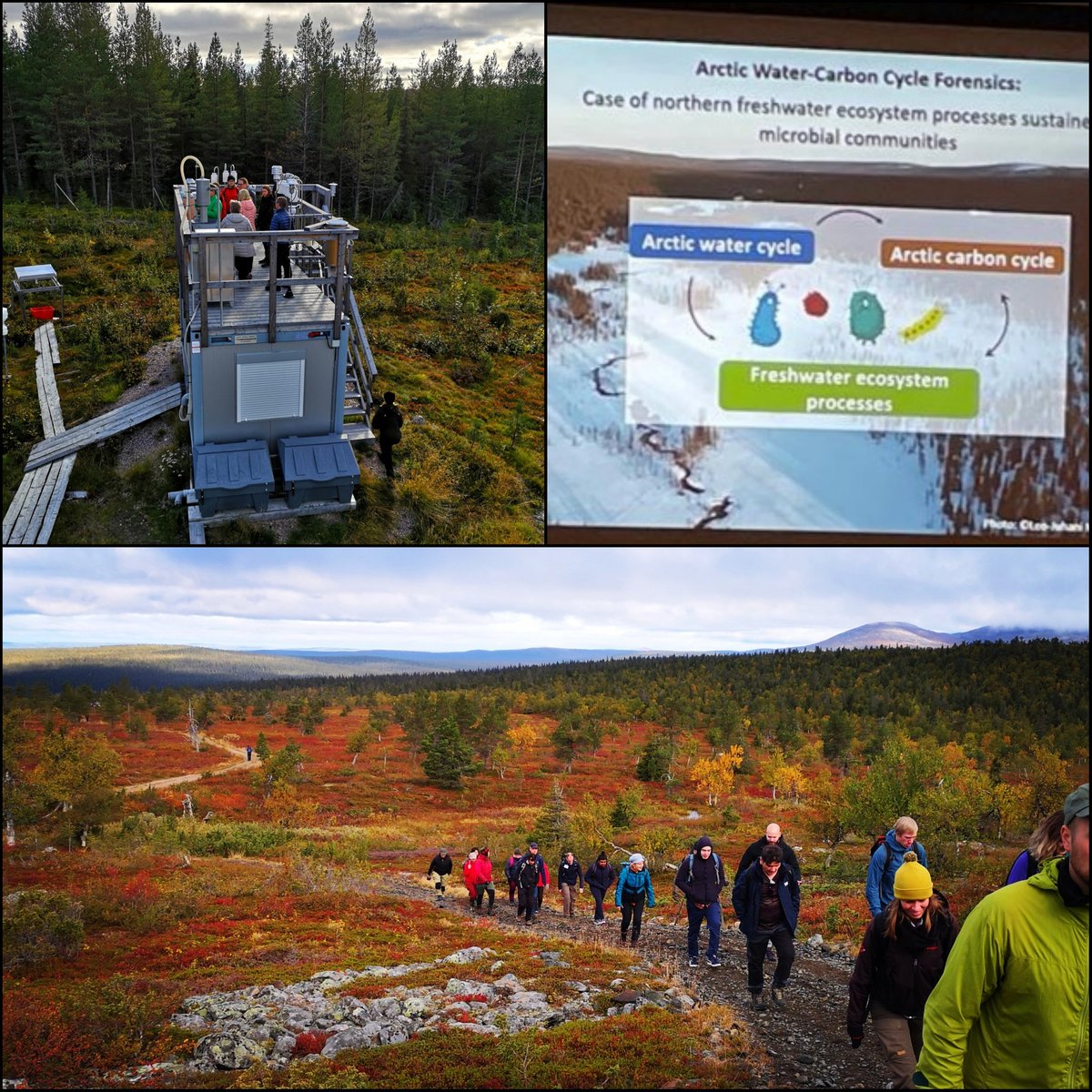 Wonderful 2 days spent at #PallasSymposium2022! Great talks, beautiful field trip, awesome new collaborations and ideas shared with the people working at the
#PallasEcosystemSupersite!! 
<a href="/UniOulu/">University of Oulu</a> <a href="/LukeFinland/">Luonnonvarakeskus</a> <a href="/IlmaTiede/">Ilmatieteen laitos</a> <a href="/KoneenSaatio/">Koneen Säätiö</a>