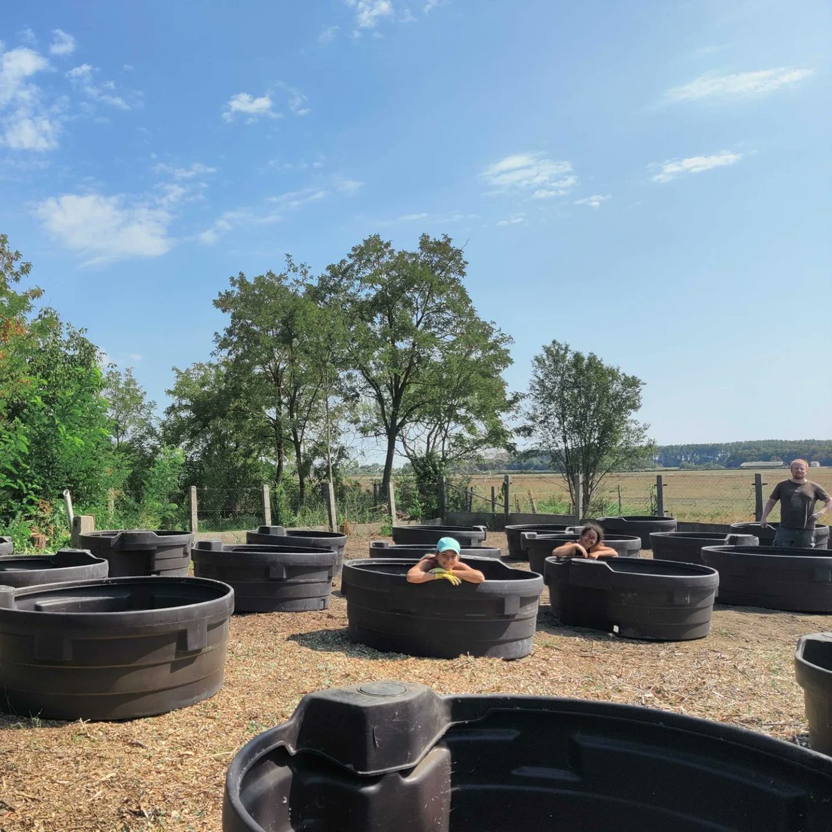 One of our <a href="/aquacosm/">AQUACOSM</a>-plus mesocosm systems is almost ready and waiting for the new experiment! <a href="/Zsofia_Horvath1/">Zsófia Horváth</a> <a href="/CsabaVad1/">Csaba Vad</a> <a href="/Adam_Fierpasz/">Adam Fierpasz</a> <a href="/ZsuzsiMrton/">Zsuzsi Márton</a> @BartaBarbara2 <a href="/IrenotaTurner/">Irene Tornero</a> <a href="/hhuong152/">Thu-Hương Huỳnh</a> <a href="/vysneha9/">Varsha Rani</a>