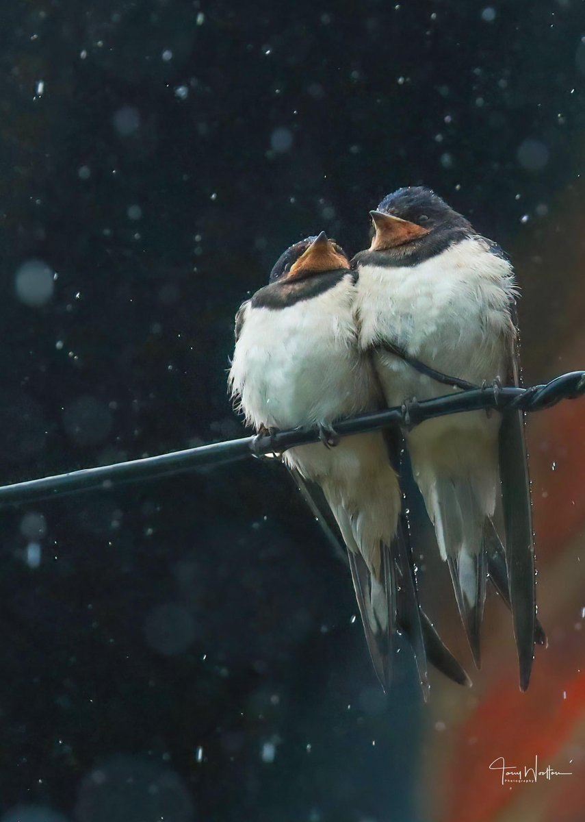 Love is …. Sitting in the rain with the one you love ..
