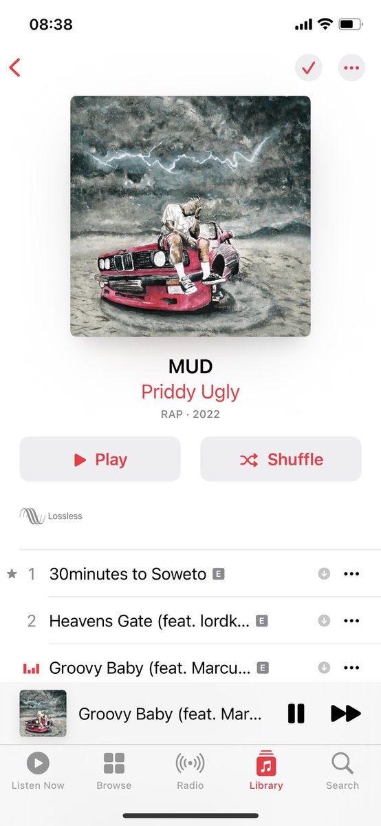 LMaccony's tweet photo. @ItsPriddyUgly this entire project is 🔥🔥🔥🔥
 Priddyneverdisappoints !!!!!!! https://t.co/wl1vZAiwme