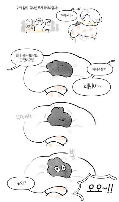 가족력 