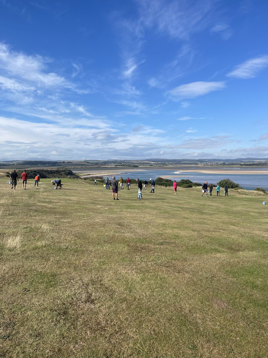 BGreenkeeping's tweet photo. We would like to thank all the members that came out for the divoting party yesterday! The most we have had yet for one , it makes a time consuming job so much quicker so many thanks from all the green staff! ⛳️🏌️‍♂️🏌️‍♀️ https://t.co/htu4G3WD7i