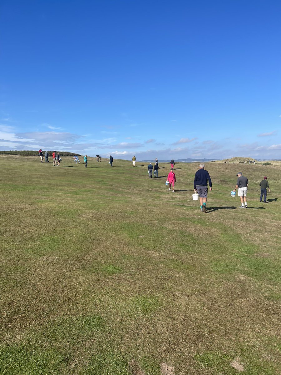 BGreenkeeping's tweet photo. We would like to thank all the members that came out for the divoting party yesterday! The most we have had yet for one , it makes a time consuming job so much quicker so many thanks from all the green staff! ⛳️🏌️‍♂️🏌️‍♀️ https://t.co/htu4G3WD7i