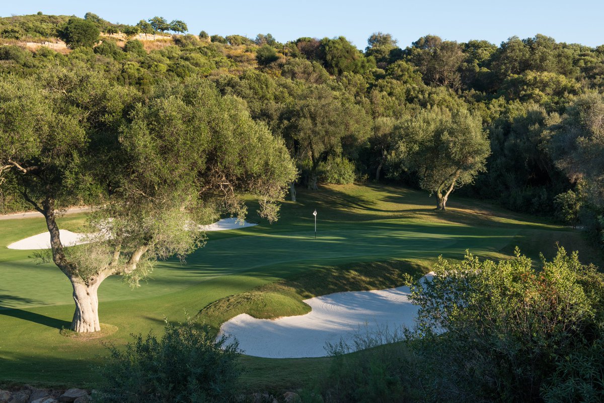InigoAramburu's tweet photo. Enhorabuena a todo el equipo de @FINCACORTESIN Sois los mejores y no lo digo sólo yo. @DeporteBusiness @TheSolheimCup @LETgolf @LPGA 
Best Golf Resorts in Europe in 2022 https://t.co/sUkiniKvwe a través de @leadingcourses https://t.co/hpe1hMc0Xy