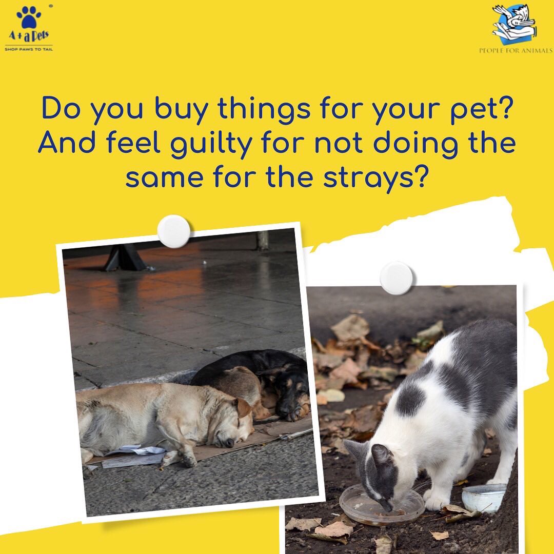 pfaindia's tweet photo. @aplusapets x @pfaindia 🙏🏻💛
#peopleforanimals #animallovers #animals #petlovers #shopnow #straysofinstagram #love #compassion #gooddeeds #dogood https://t.co/SrbVGxe8Uo